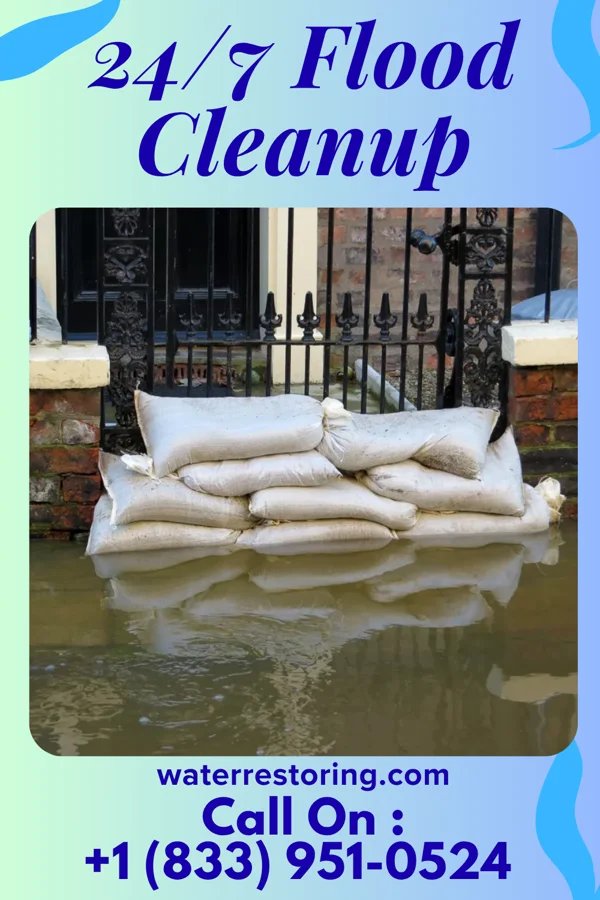 24/7 Flood Cleanup in Noxapater, MS