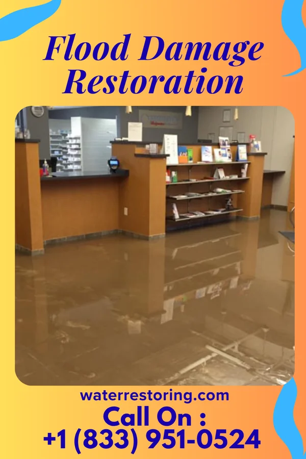 Flood Damage Restoration in Noxapater, MS