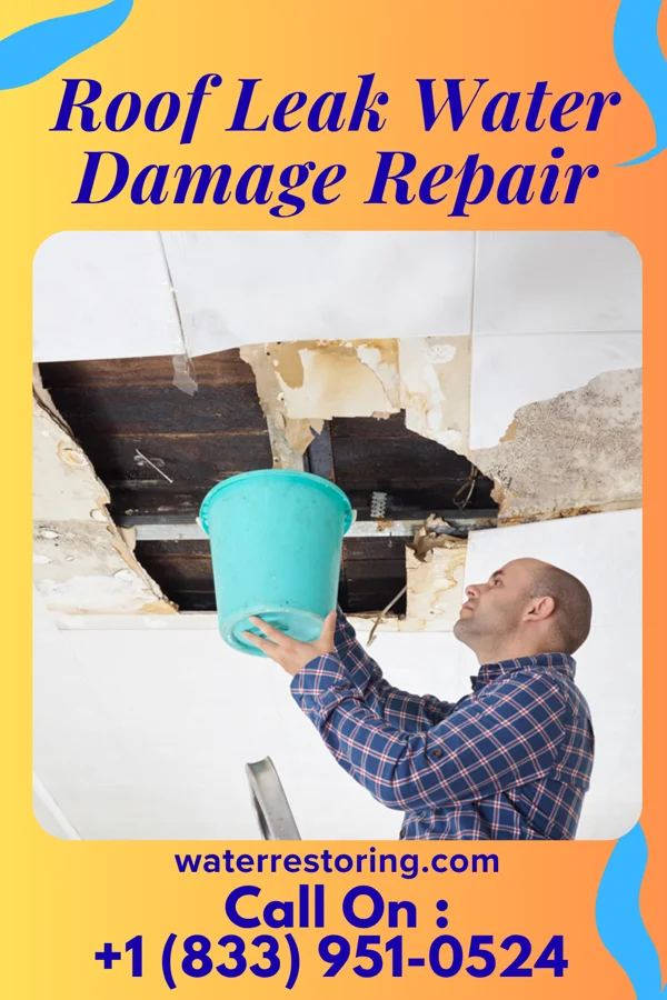 Roof Leak Water Damage Repair in Noxapater, MS
