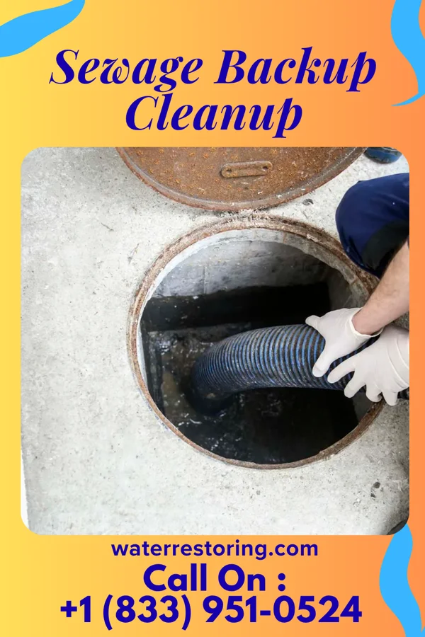 Sewage Backup Cleanup in Noxapater, MS