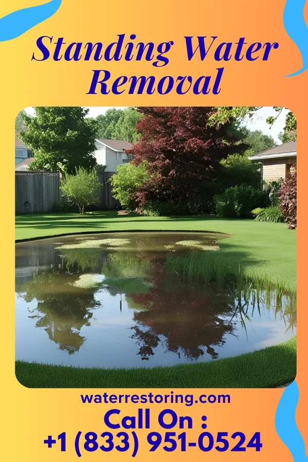 Standing Water Removal in Noxapater, MS